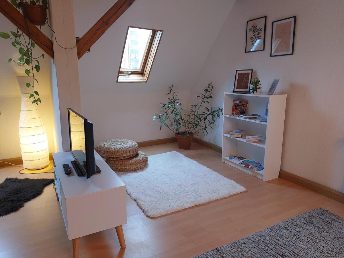 Ferienwohnung Am Salzsee Bad Windsheim Extérieur photo